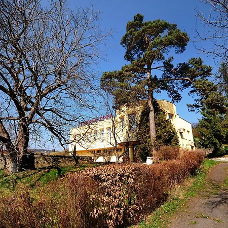 Chervona Gora *